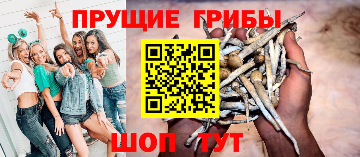 Галлюциногенные грибы Psilocybine cubensis  Вход с VPN  Ярцево  Галлюциногенные грибы Psilocybe 